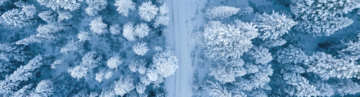 pexels-digitech-1438761